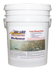 Seal n Lock Efflo-Remover 5 gallons 